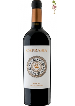 Red Wine Caprasia Anfora
