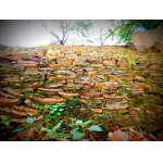 De las ánforas de barro a los barriles de roble.