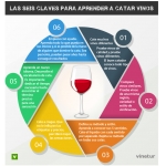 6 pautas para desarrollarse en el mundo de la cata de vinos