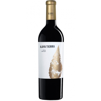 Vino Tinto Alaya Tierra 1