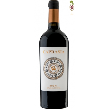 Red Wine Caprasia Anfora 1