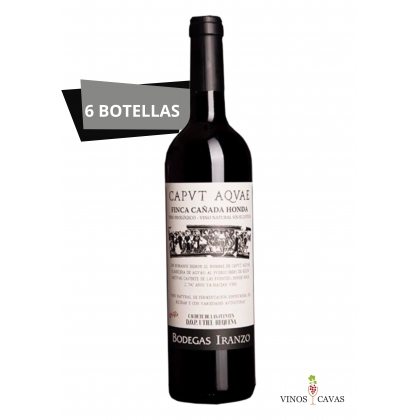 Vino Tinto Caput Aquae