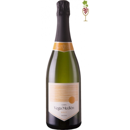 Cava Vega Medien Brut Ecologico 1