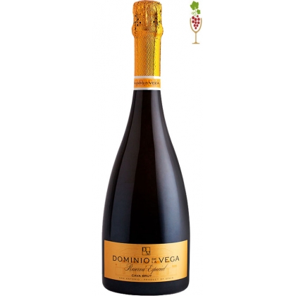 Cava Dominio de la Vega Brut Nature Especial 1