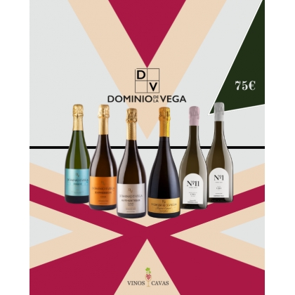 Pack de 6 cavas Dominio De la Vega 1