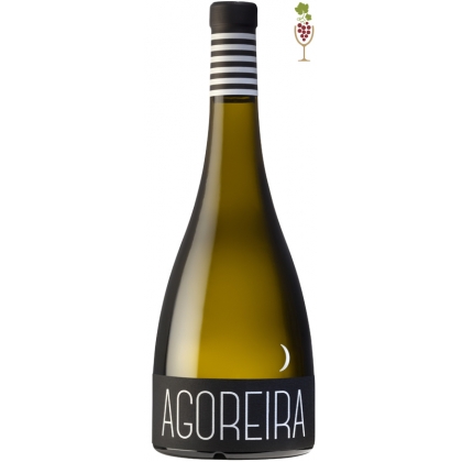 Vino Blanco Godello Agoreira 1