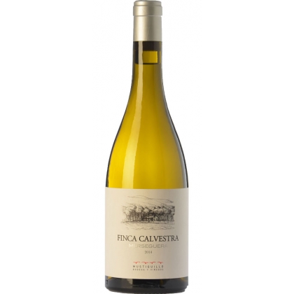 White Wine Finca Calvestra 1