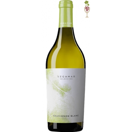 Vino Blanco Huella de Sauvignon Blanc 1