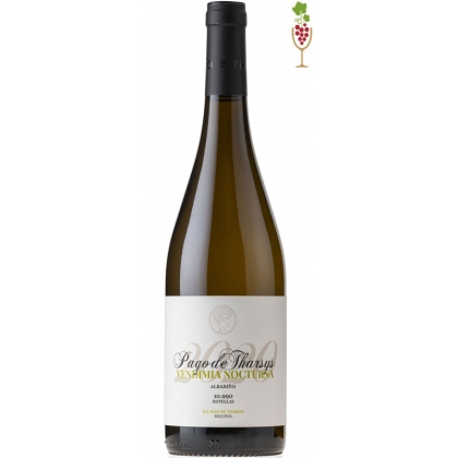 Wine Pago de Tharsys Albariño Vendimia Nocturna 1