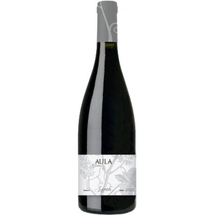 Vino Tinto Aula Syrah 1