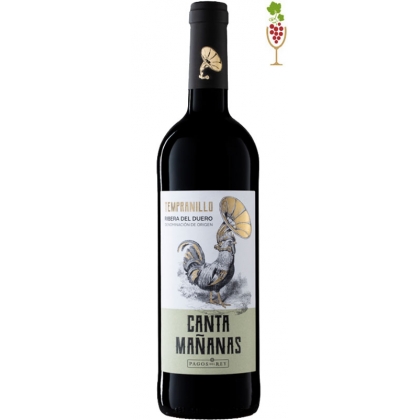 Red Wine Cantamañanas 1