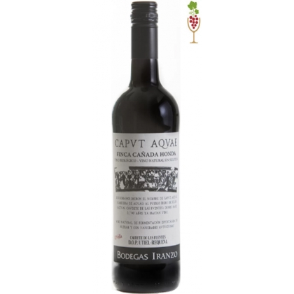 Red Wine Caput Aquae