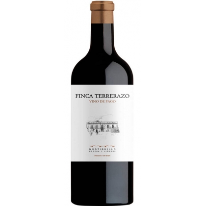 Vino Tinto Finca Terrerazo Magnum 1