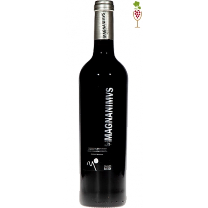 Red wine Magnanimvs Platino