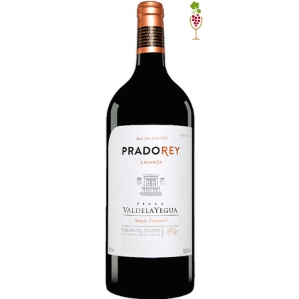 Red wine Pradorey Crianza Finca Valdelayegua Magnum 1