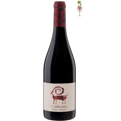 Vino Tinto Caprasia Roble 1