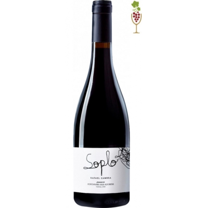 Vino Tinto Rafael Cambra SOPLO 1