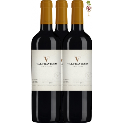 Vino Tinto Valtravieso Crianza 1