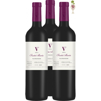 Red Wine Valtravieso Finca Santa Maria 1