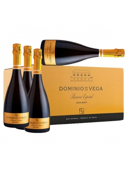 Caja 6 Botellas Dominio Vega Reserva Especial
