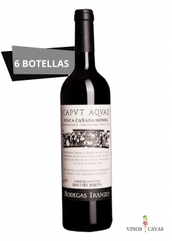 Vino Tinto Caput Aquae