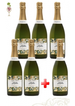 Lot Cava Brut Ecológico Valle de San Jaime