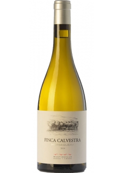 White Wine Finca Calvestra