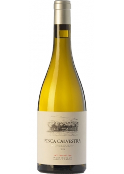 Vino Blanco Finca Calvestra