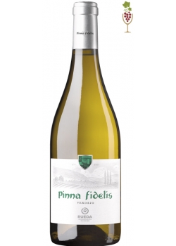 White Wine Pinna Fidelis Verdejo