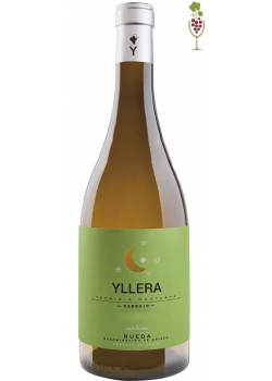 Vino Blanco Yllera Verdejo Vendimia Nocturna