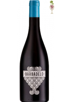 Red Wine Barbadelo