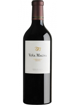 Red Wine Viña Magna 14 meses