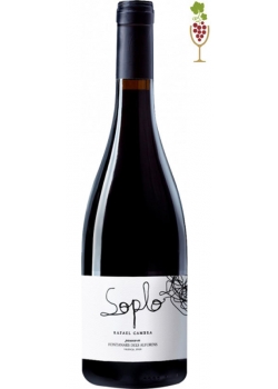 Red Wine Rafael Cambra SOPLO