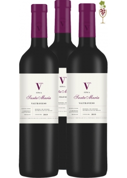 Red Wine Valtravieso Finca Santa Maria