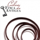 Vino Tinto Finca Antigua Reserva 4