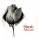 Vino Blanco Flor de Ahillas 2