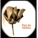 Rosé Wine Flor de Ahillas 2