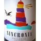 Vino Tinto Sincronia 2