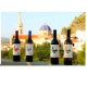 Red Wine Santpere 2
